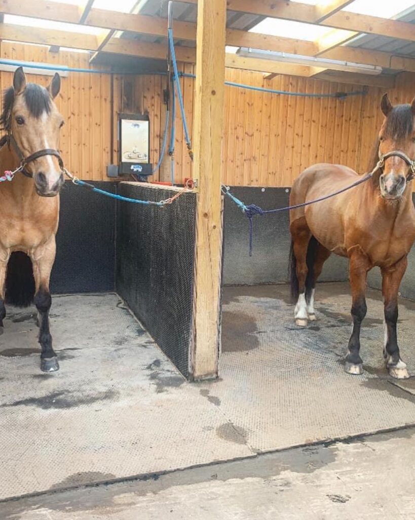 stables Tycroes Farm Equestrian Center